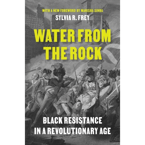 Water from the Rock: Black Resistance in a Revolutionary Age - Paperback - iShook Books