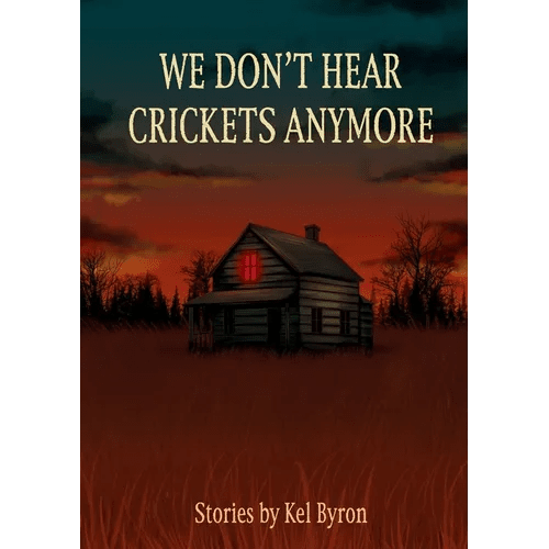 We Don't Hear Crickets Anymore - Paperback - iShook Books