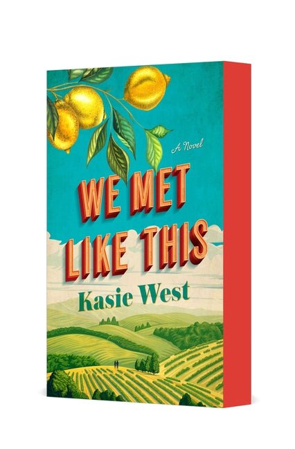 We Met Like This - iShook Books