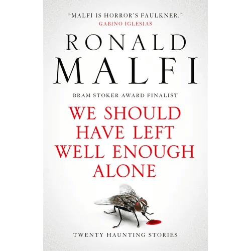 We Should Have Left Well Enough Alone - Paperback - iShook Books