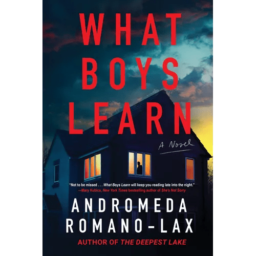 What Boys Learn - Hardcover - iShook Books