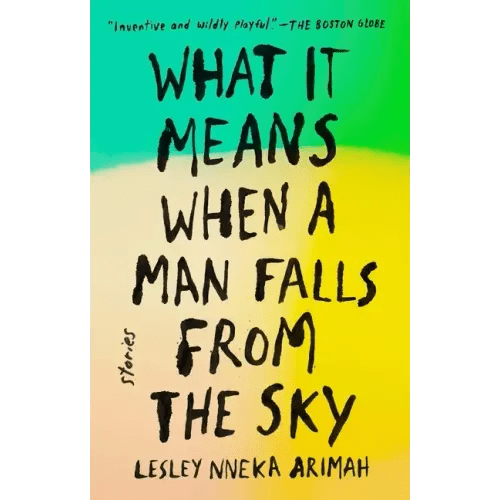 What It Means When a Man Falls from the Sky: Stories - Paperback - iShook Books