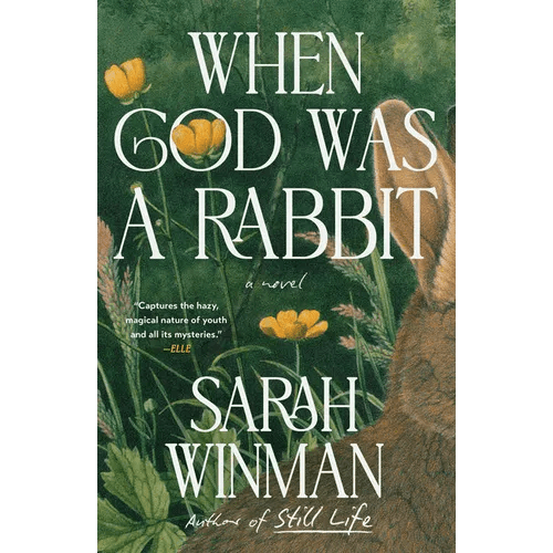 When God Was a Rabbit - Paperback - iShook Books
