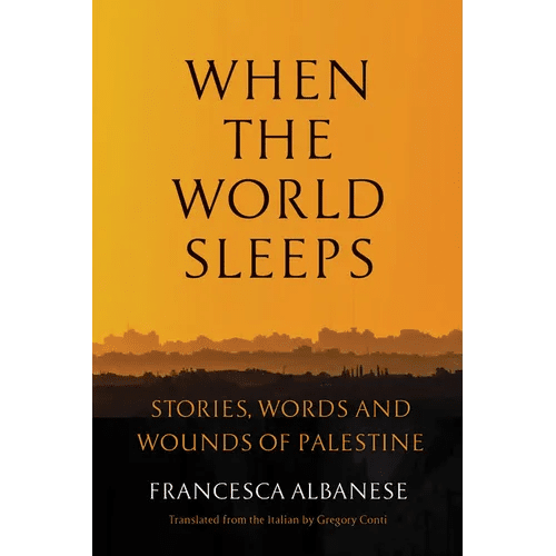 When the World Sleeps: Stories, Words, and Wounds of Palestine - Hardcover - iShook Books
