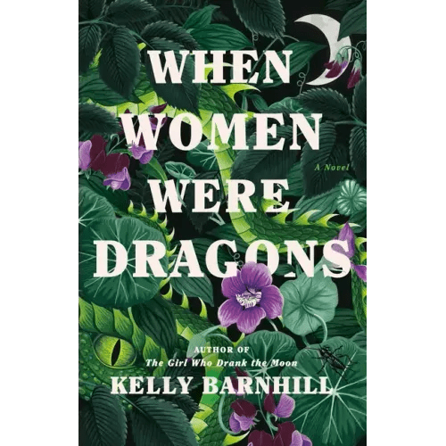 When Women Were Dragons - Hardcover - iShook Books