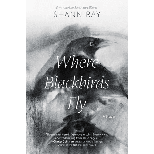 Where Blackbirds Fly - Paperback - iShook Books