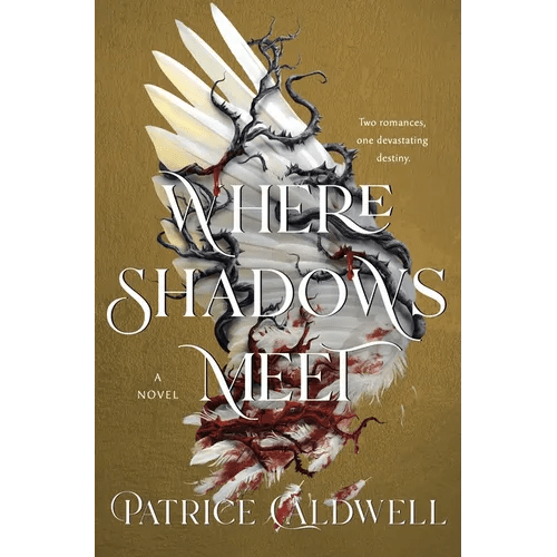 Where Shadows Meet - Hardcover - iShook Books