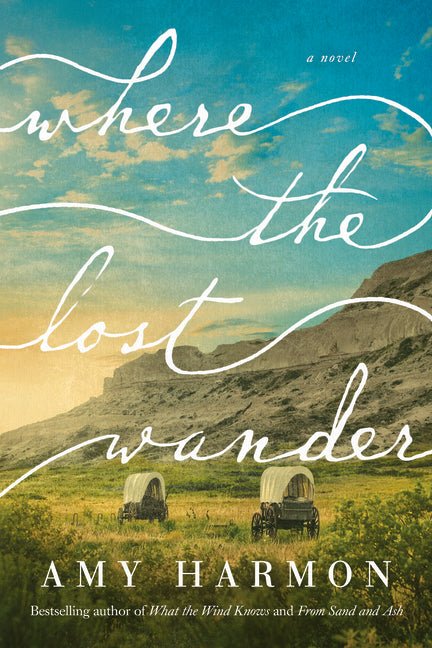 Where the Lost Wander - iShook Books