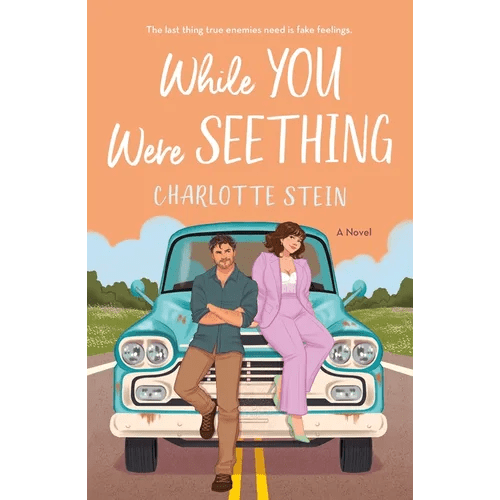 While You Were Seething - Paperback - iShook Books