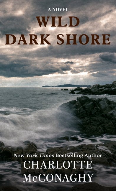 Wild Dark Shore - iShook Books