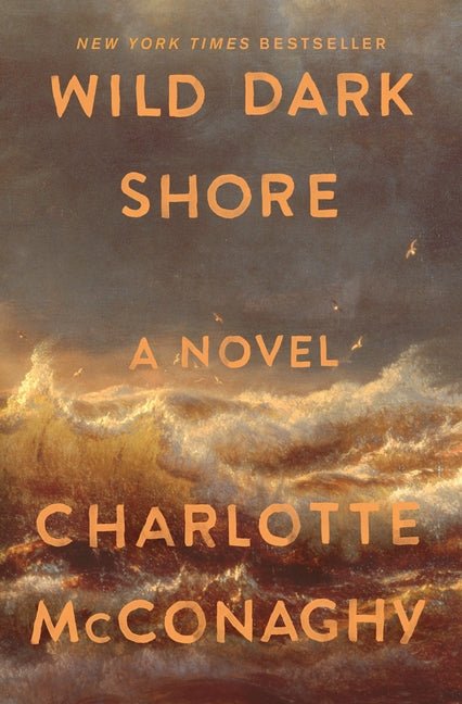 Wild Dark Shore: Reese's Book Club Pick (a Novel) - iShook Books