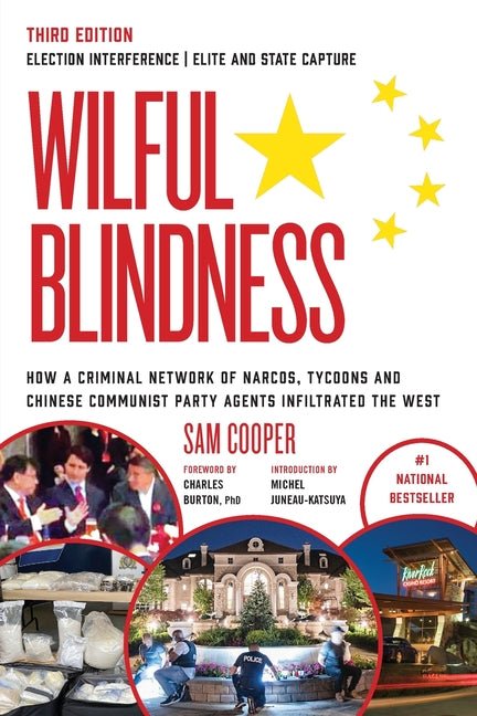 Wilful Blindness Election Interference Elite and State Capture - iShook Books