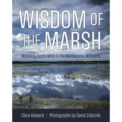 Wisdom of the Marsh: Modeling Restoration in the Montezuma Wetlands - Hardcover - iShook Books