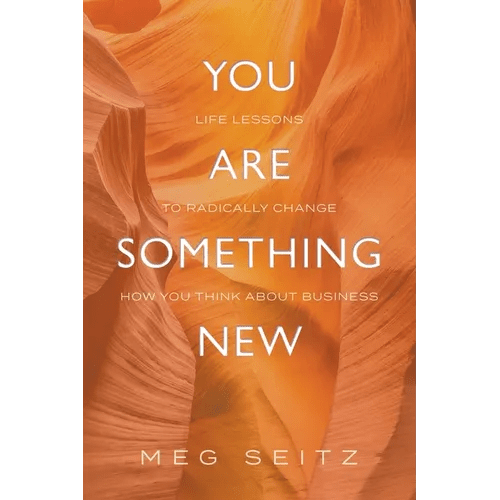 You Are Something New: life lessons to radically change how you show up in business - Paperback - iShook Books