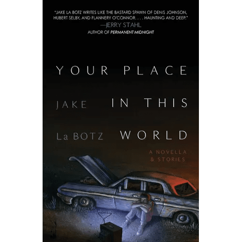 Your Place in This World: A Novella & Stories - Paperback - iShook Books