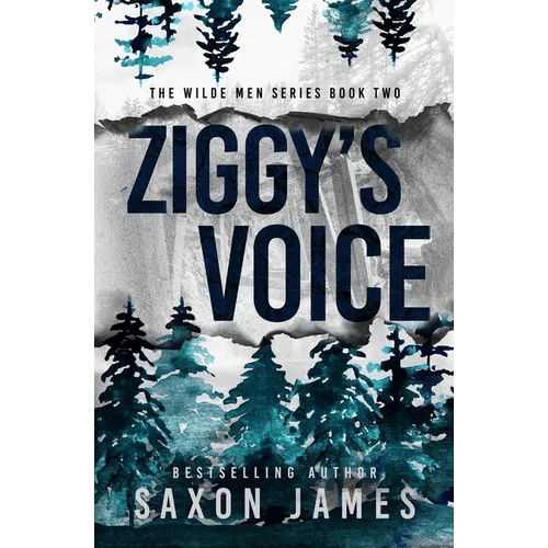 Ziggy's Voice - Paperback - iShook Books